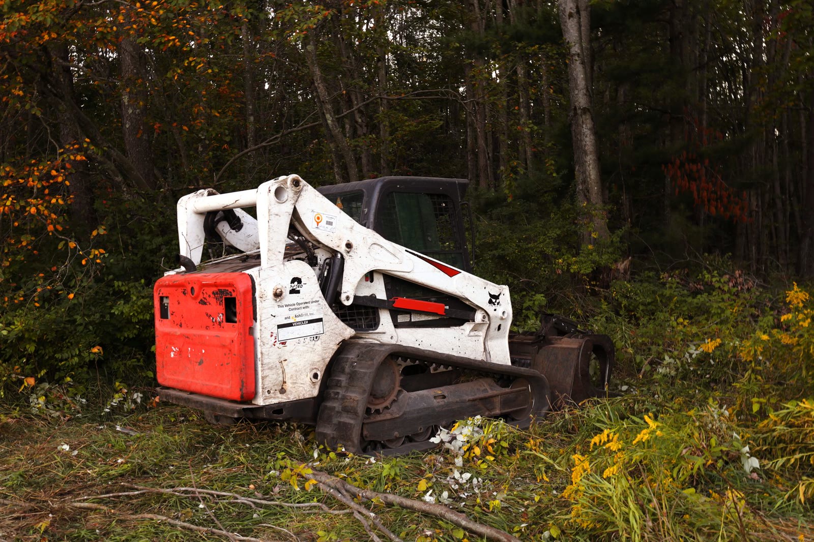 Tracked loader at the edge of a wooded lot before clearing